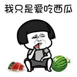 过度解读娱乐吃瓜酱,揭秘网络舆论背后的真相与偏见