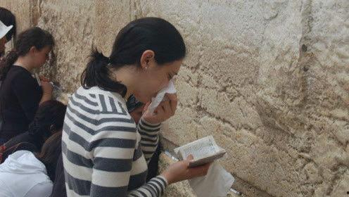 晋江吃瓜娱乐圈